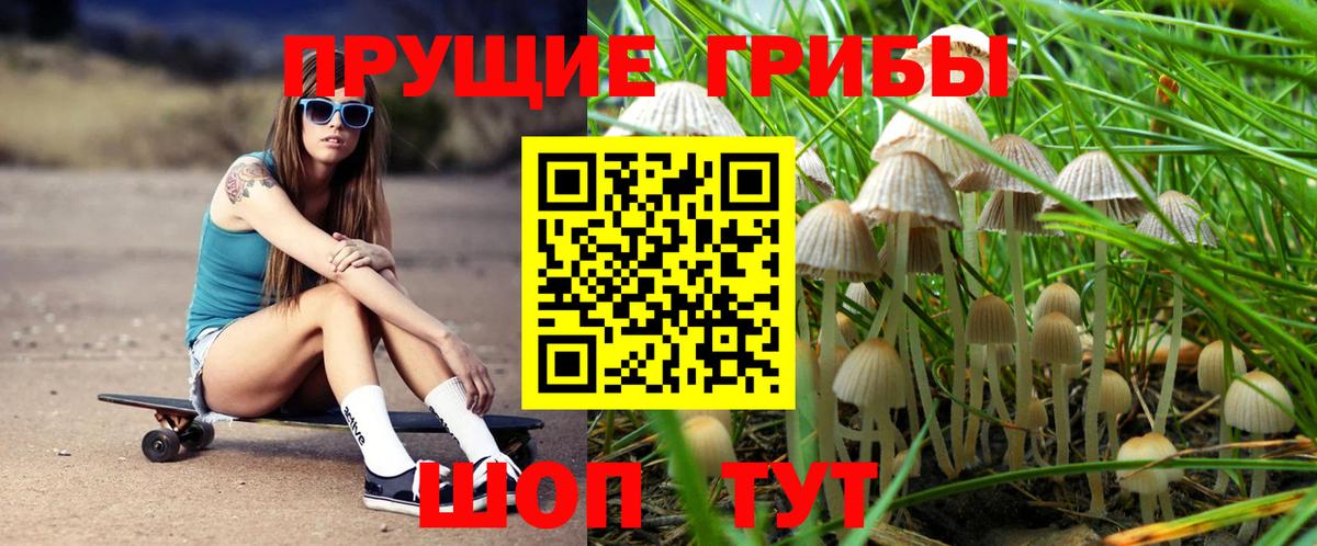 Псилоцибиновые грибы Cubensis  где купить наркоту  Феодосия  Вход с VPN 