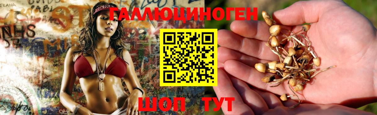 Псилоцибиновые грибы ЛСД Феодосия